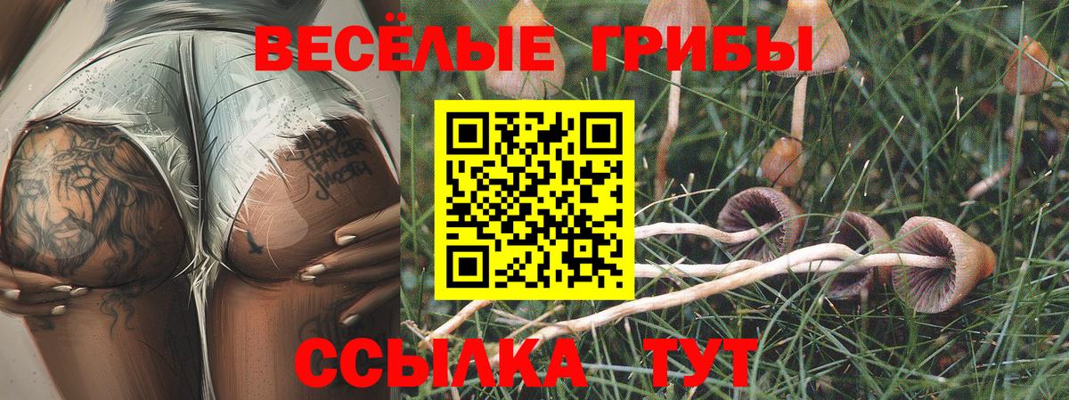 Галлюциногенные грибы Psilocybine cubensis Магадан